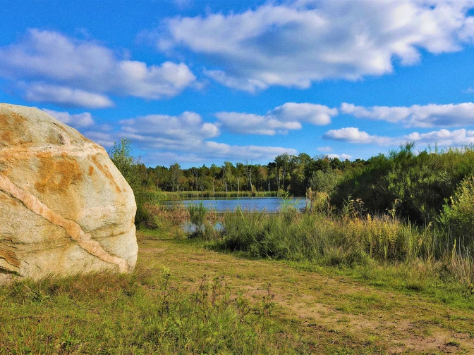 Findling im Naturpark Bourtanger Moor - Veenland