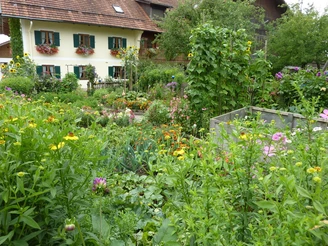 Bauerngarten in Riegsee neben der Kirche