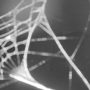 Blick Einkehrschwung Ritzhagen