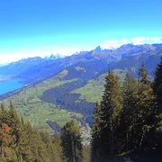 Webcam Schwandegg (Niesenbahn)