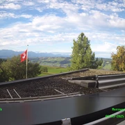 Müswangen
