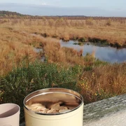 Moorbahn Winterfahrt mit Punschpause