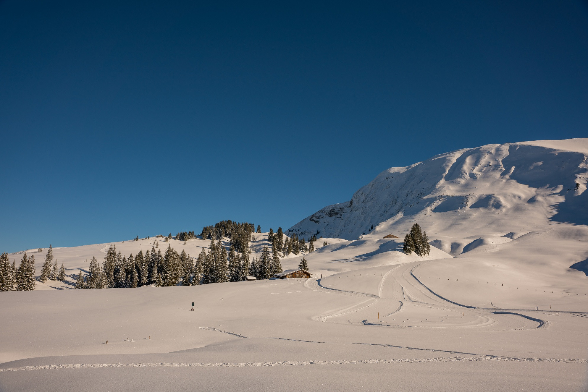 Lombachalp - Piste de ski de fond