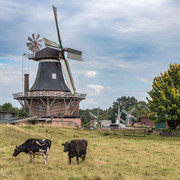 Die Rutteler Mühle an der Strecke, Bild: Anja Zervoß Varel