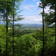 Aussicht vom Kamm des Teutoburger Waldes