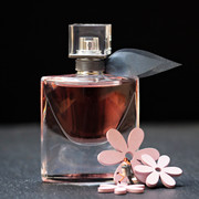 parfum-beauty