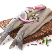 typical Dutch herring