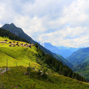 Blick hinaus auf die Alp Wannelen