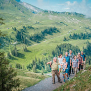 Klewenalp Alpenblumenweg