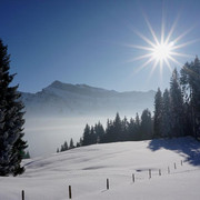 Märchenhafte Winterlandschaft