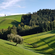 Typische Landschaft im Ohmstal