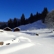 Schneeschuhtour Brünigpass-Ober Brünig-Lungern
