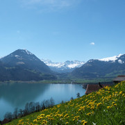 Blick über den Sarnersee in Richtung Giswil mit den Berner Alpen im Hintergrund
