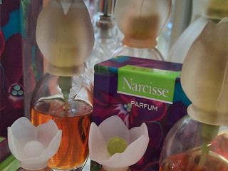 Parfum Narcisse