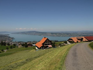 Mittagessen mit Aussicht Zürichsee