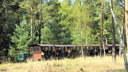 Moorbahn Burgsittensen im Naturschutzgebiet Tister Bauernmoor