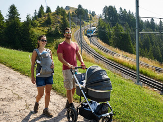 Der Abschnitt Rigi Kulm - Rigi Staffelhöhe ist problemlos mit dem Kinderwagen zu bewältigen