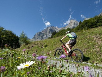Bike-Tour 4040: Mitten durch Blumenwiesen!
