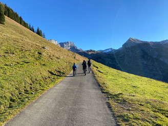 Der Weg führt ab Brunni Ristis zuerst auf Asphalt auf dem Nidwalder Höhenweg