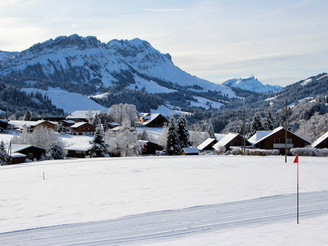 Winterpanorama vom Winterwanderweg ob Finsterwald
