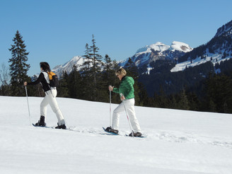 Schneeschuhlaufen auf der Ibergeregg