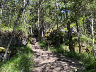 Der Weg verläuft oft im Wald.