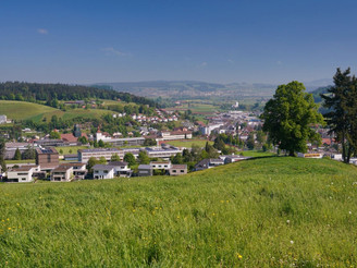 Blick zurück nach Willisau, im Hintergrund der Santenberg