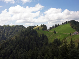 Links unser Ziel, der Napf mit dem Berghotel, rechts die Alp Stächelegg