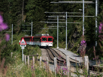 Die Zahnradbahn unterwegs ins Tal.