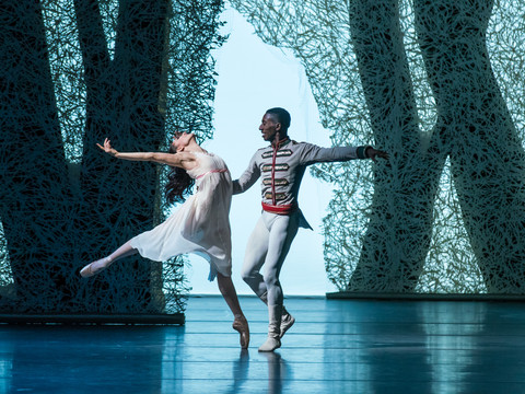 A Swan Lake - Ballet - Semperoper Dresden