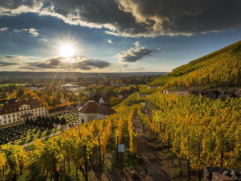 Goldener Oktober im Saechsischen Staatsweingut Schloss Wackerbarth in Radebeul, aufgenommen am Samstag (24.10.2020). Foto: Norbert Millauer 