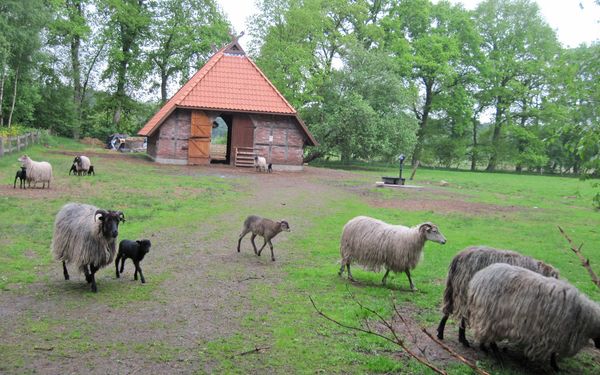 Willkommen am Schafstall in der Vareler Heide