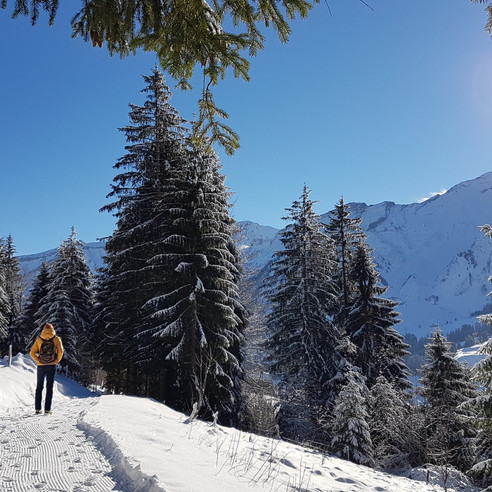 Aussichtsreiche Winterwanderung in Sörenberg