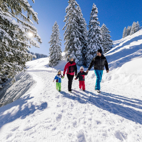 Winterwandern Fuederegg-Laucheren