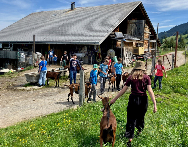 Ziegen und Kinder auf Alp Hösel