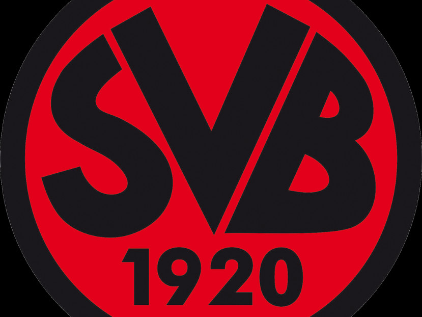 svb_logo.png