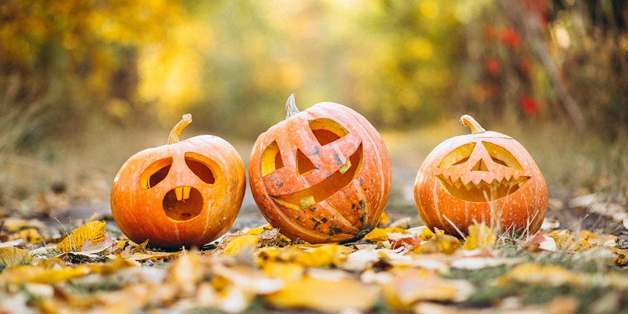 pumpkin-pixabay_Mayur_Gadge