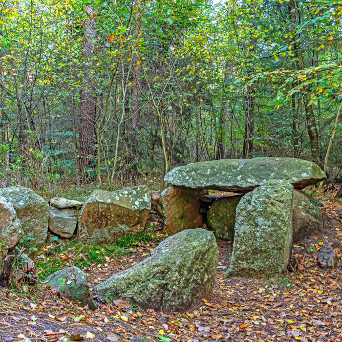 Das Großsteingrab im Eichholz