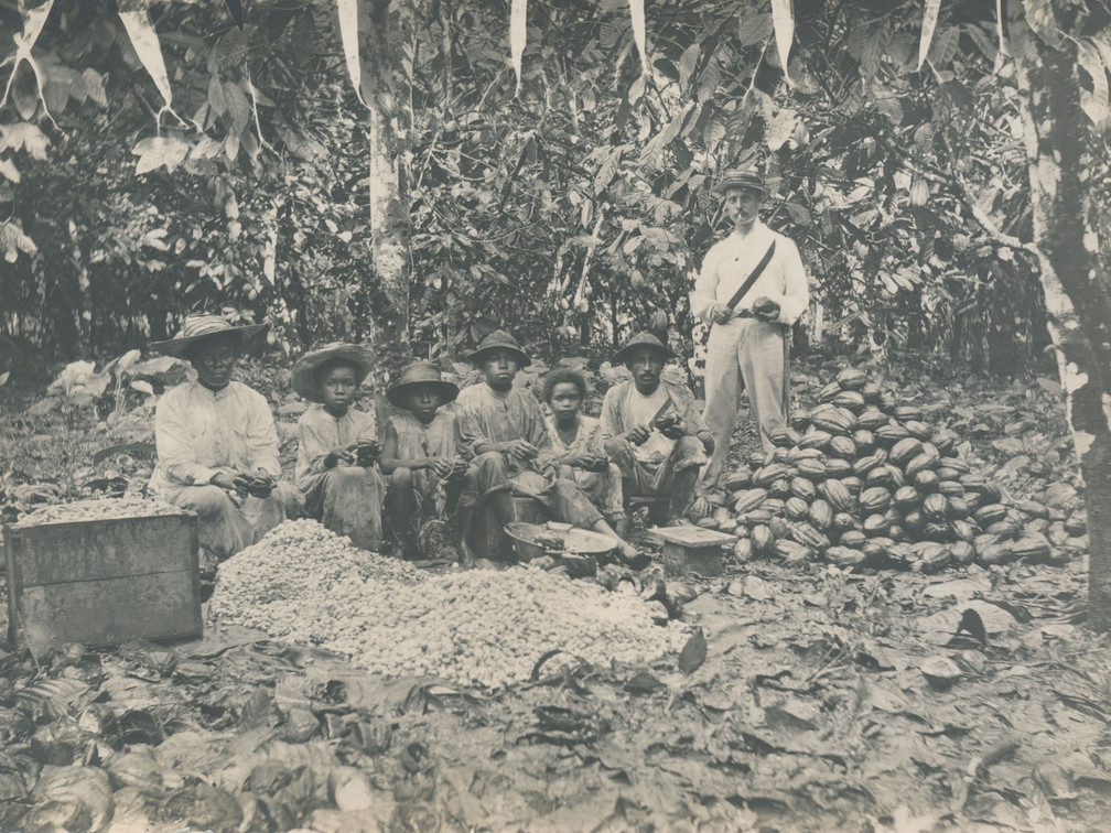 Aufschlagen von Kakaofrüchten, Bahia, Brasilen, um 1900 Photographie Sammlung Philipp Keller, Verkehrsarchiv, Verkehrshaus der Schweiz