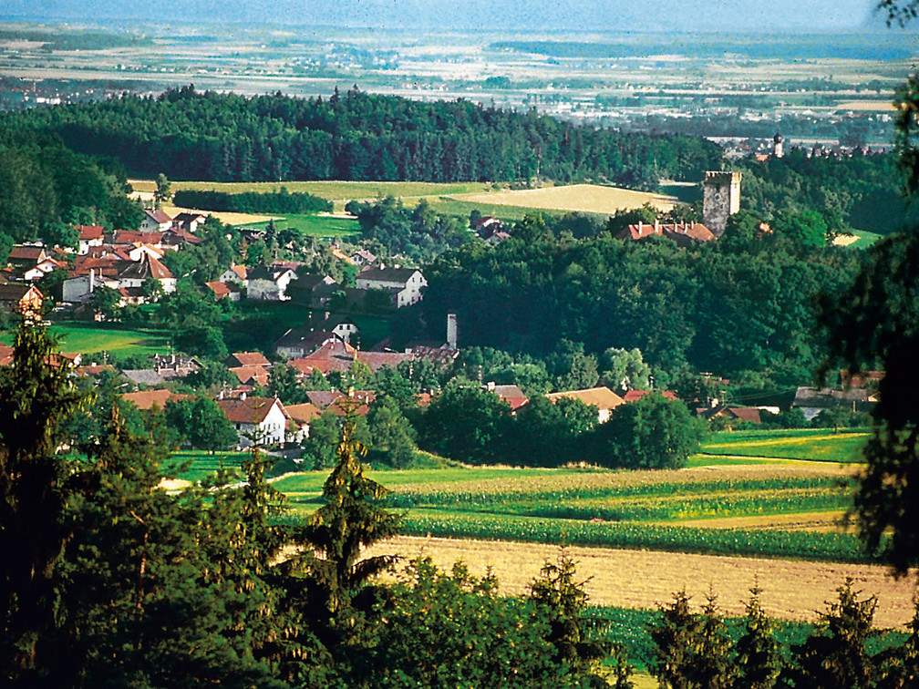 Ortsbild Falkenfels
