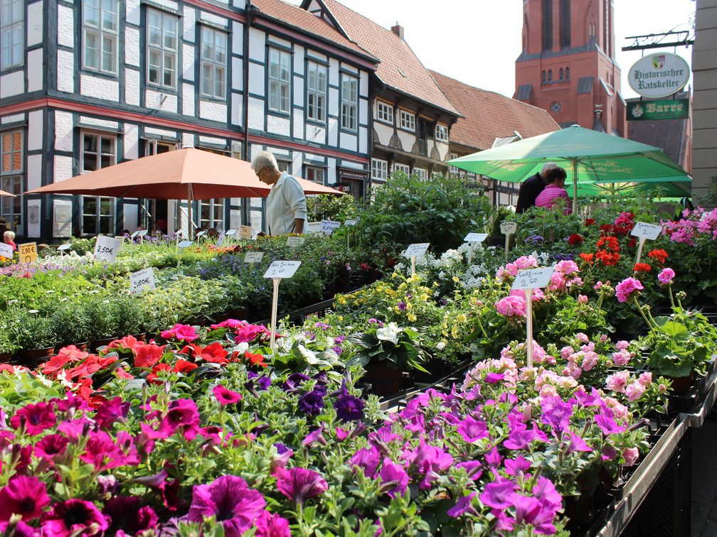 Wochenmarkt Nienburg