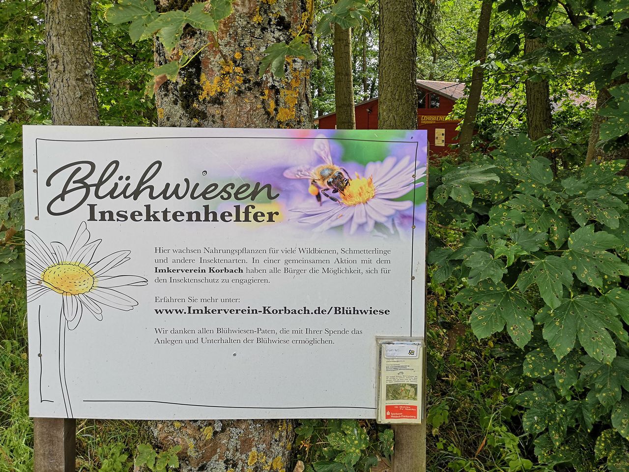 Bild vergrößern: