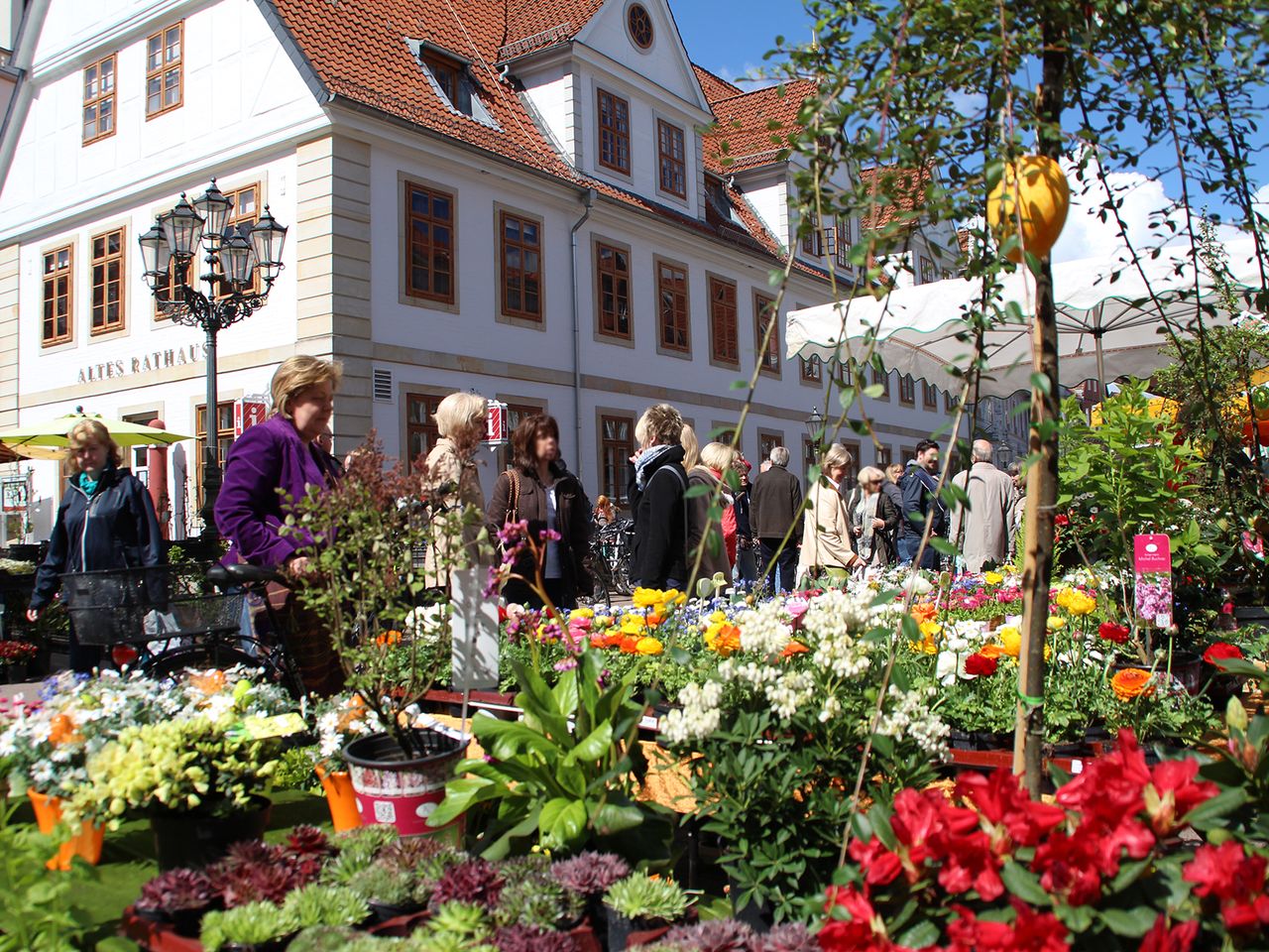 Bild vergrößern: Wochenmarkt in Celle