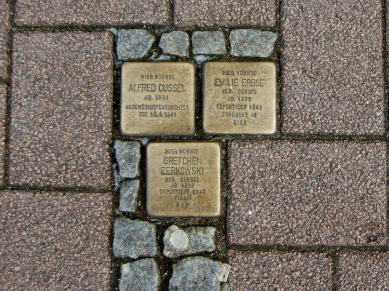 Bild vergrößern: Stolpersteine in Celle