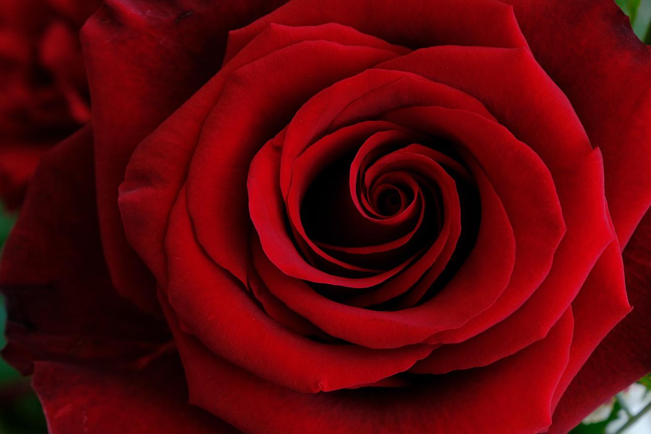 Musikalischer Gottesdienst zum Valentinstag