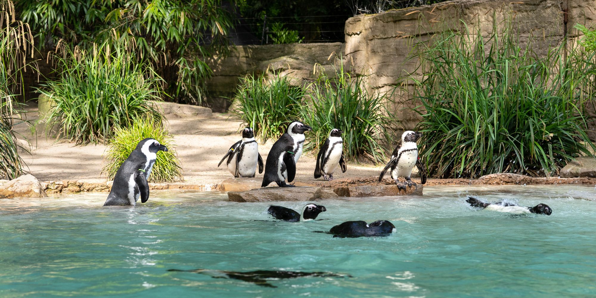 Duisburg Zoo duisburg-zoo