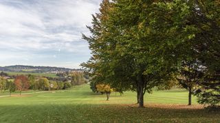 Wander Und Nordic Walking Wege