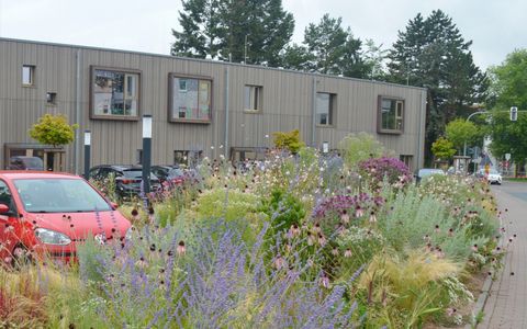 Stadt Marktheidenfeld