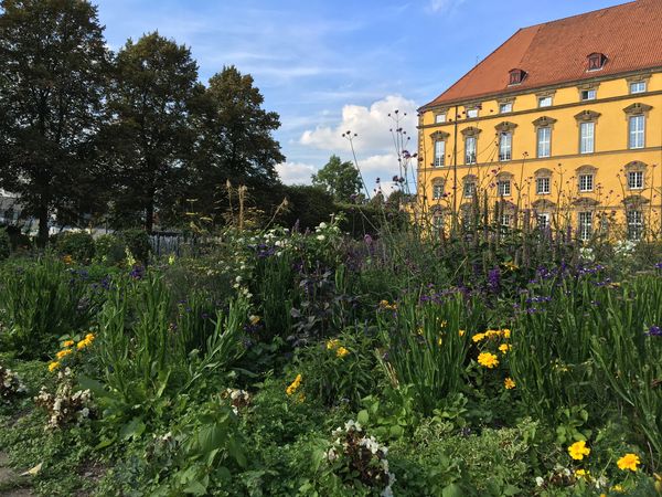 De kasteeltuin van Schloss Osnabrück is een populaire plek in het centrum van de stad om te picknicken en ontspannen