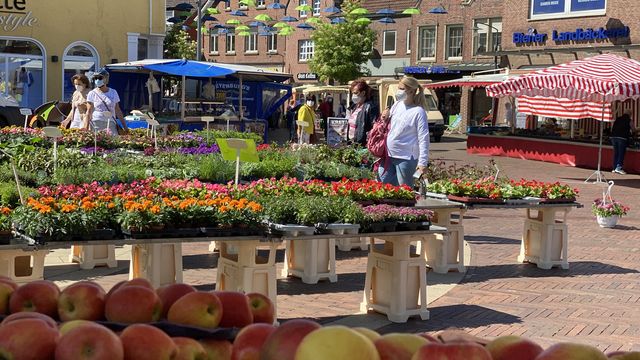 Entdecke Meppen: Aktuelle Events und Highlights Entdecke Meppen: Aktuelle Events und Highlights